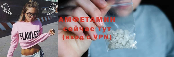 сатива Белая Холуница