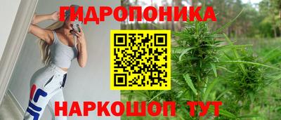 прущие крисы Гусь-Хрустальный