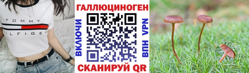 как найти наркотики  Лосино-Петровский  Псилоцибиновые грибы мухоморы 