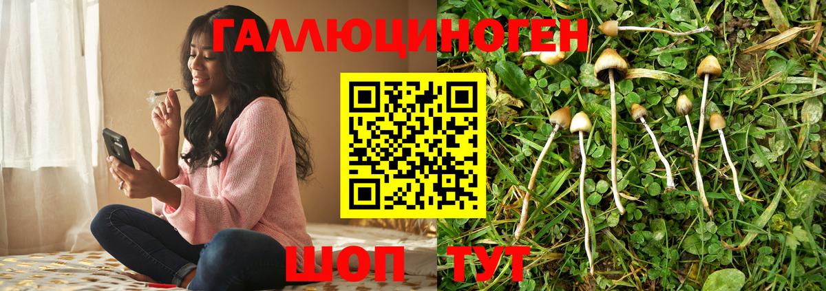 Псилоцибиновые грибы Psilocybine cubensis  Вход с VPN  наркошоп  Лосино-Петровский 